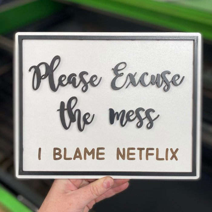 Excuse Mess Blame Netflix Sign
